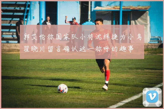 郭艾伦称国家队小将沈梓捷为小鸟翟晓川留言确认这一称呼的趣事